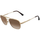 NAVIGATOR, Gold-Mineral Polarized Drivers Gradient Cat 2 to 3, hi-res image number null
